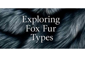 Exploring Fox Fur Types: Red, Silver, Polar & More