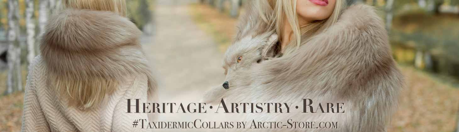 #TaxidermicCollars &ndash; Collectible Fur Collars with Wild Charm Banner