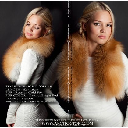 Classic collar, gold fox