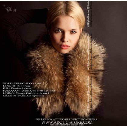 Classic collar, Russian raccoon
