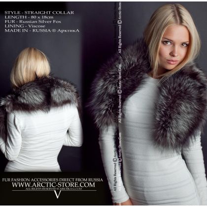 Classic collar, silver fox