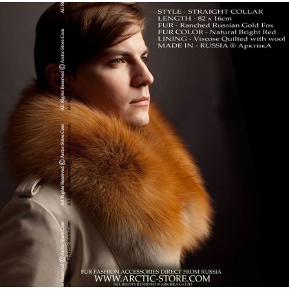 Men's fur collar, gold fox