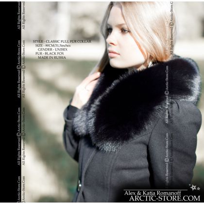 Classic collar, black fox