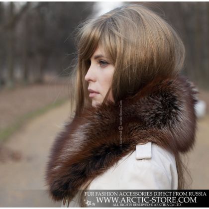 Classic collar - L'or Noir fox