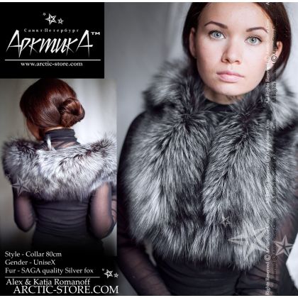 Classic collar, silver fox
