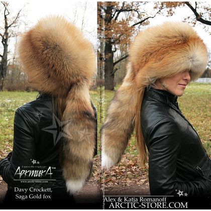 Davy Crockett, gold fox