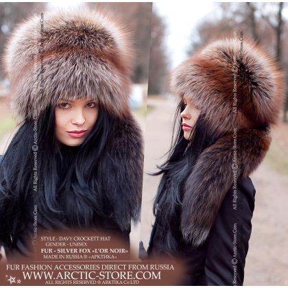 Davy Crockett, L'Or Noir fox