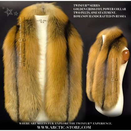Golden Cross Fox Power Collar – TWINFUR™ Series