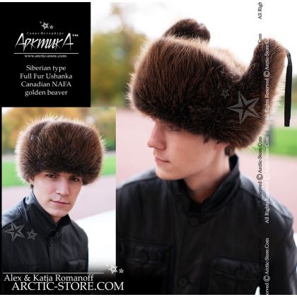 Siberian ushanka, Golden beaver