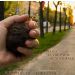natural beaver fur finger warmer for cold hands and poor circulation relief