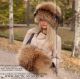russian raccoon hat - coon fur hand-muff - arctic-store