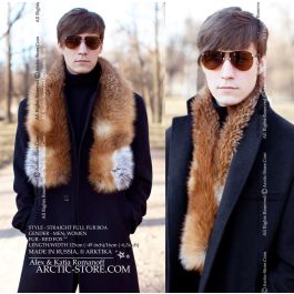 collar125_redfox_2.jpg