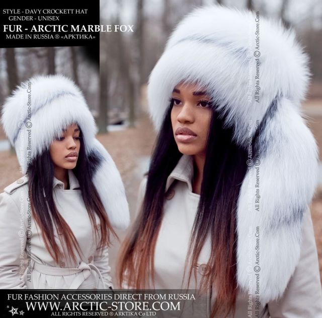 Davy Crockett, Arctic marble fox