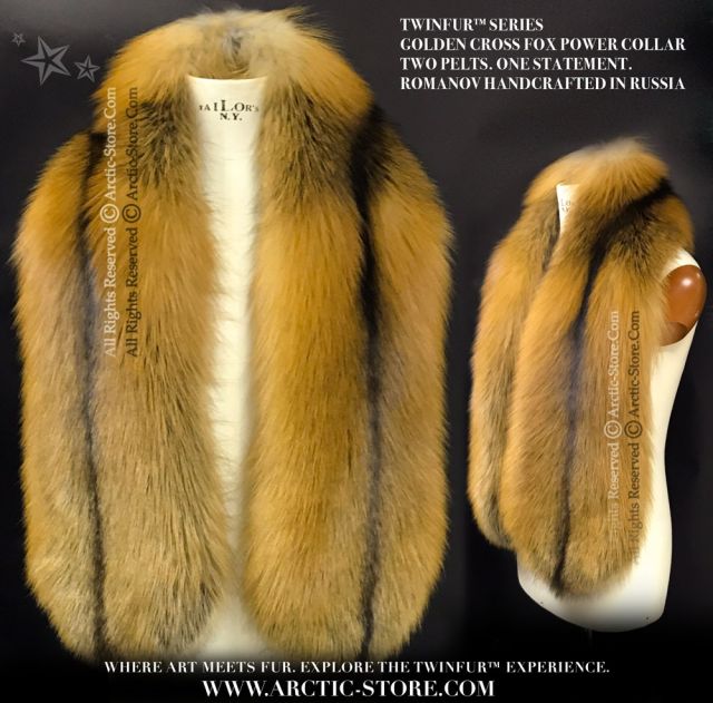 Golden Cross Fox Power Collar – TWINFUR™ Series