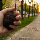 natural beaver fur finger warmer for cold hands and poor circulation relief