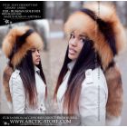 Davy Crockett, gold fox w/ typing