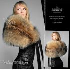 Royal cobra pelerine, finn raccoon